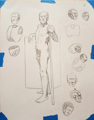 male life drawing model